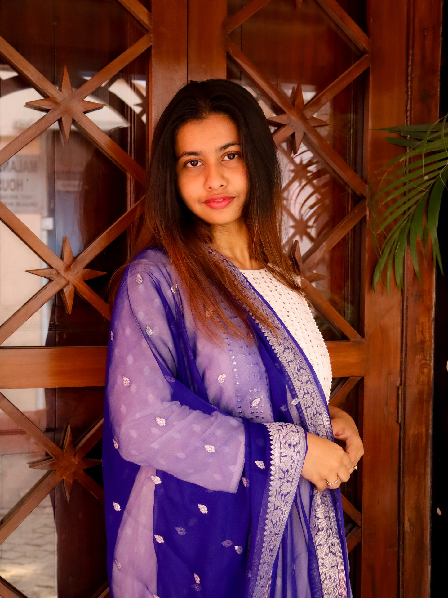 Blue Banarasi Dupatta with Silver Boota